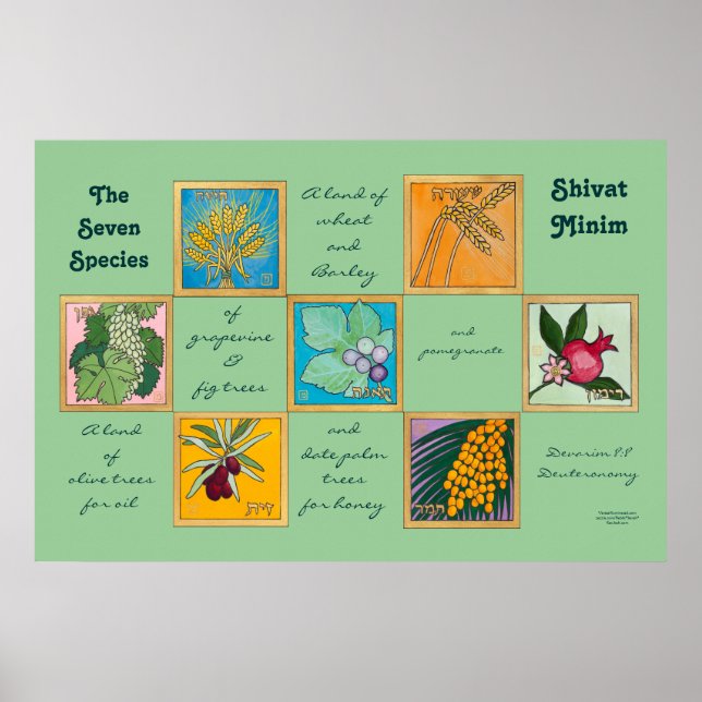 The Seven Species or Shivat Minim Poster (Front)