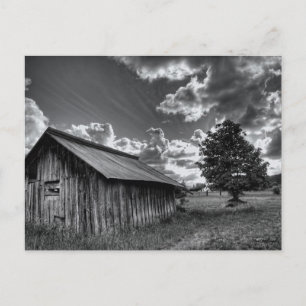 The Shack Postcard