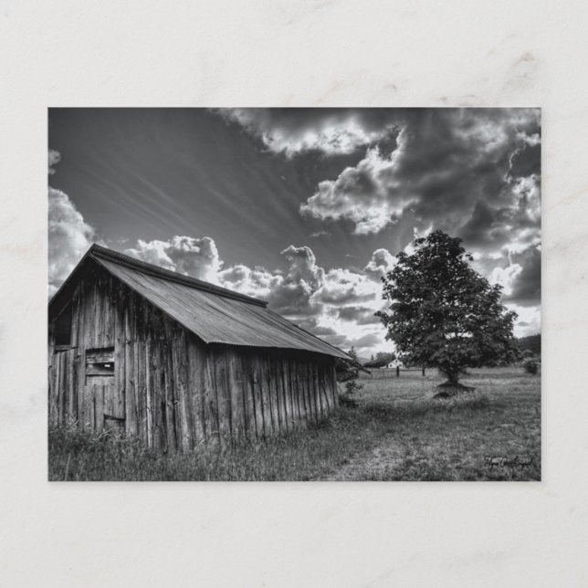 The Shack Postcard (Front)