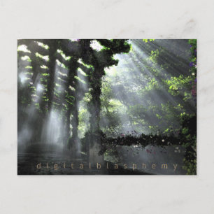 The Shaded Path (Summer) Postcard