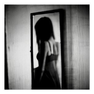 The Shadow Beyond the Mirror Poster