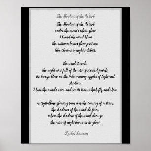 The Shadow of the Wind a poem by me Poster