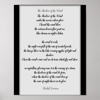 The Shadow of the Wind a poem by me Poster