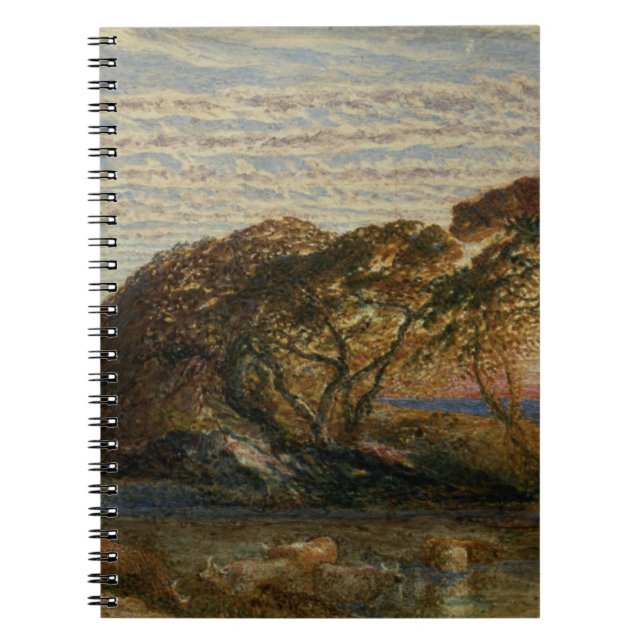 The Shadowy Stream Notebook (Front)