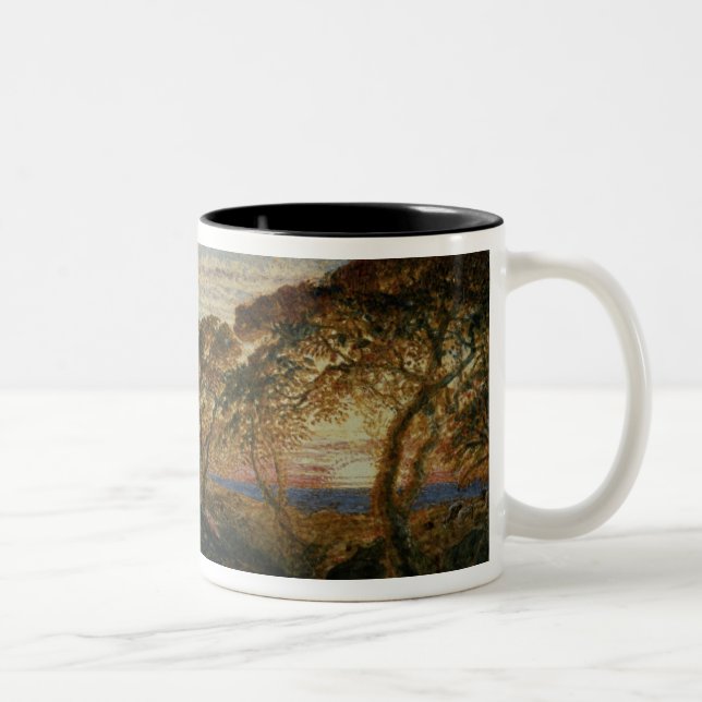 The Shadowy Stream Two-Tone Coffee Mug (Right)