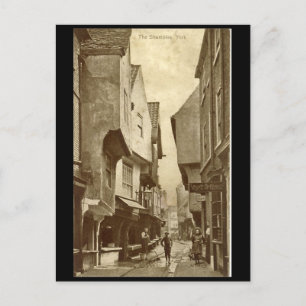 The Shambles, York Postcard