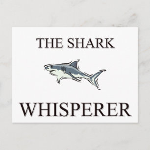 The Shark Whisperer Postcard