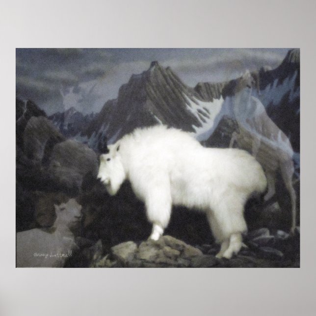 The Sheep & The Goats (Mountain Style) Poster (Front)