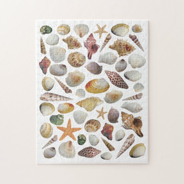 The Shell Collector Puzzle (Vertical)