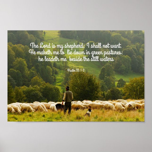 The Shepherd and His Sheep Psalm 23 Poster (Front)