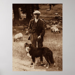 "The Shepherd"~Border Collie Poster