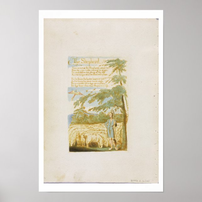 'The Shepherd', plate 15 from 'Songs of Innocence' Poster (Front)