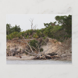 The Shoreline Holiday Postcard