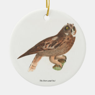 The Short-eared Owl (Otus palustris) New York Bird Ceramic Ornament