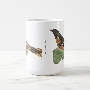 The Short-eared Owl (Otus palustris) New York Bird Coffee Mug