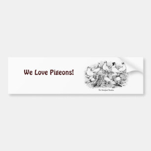 The Short-faced Tumbler Pigeons Bumper Sticker