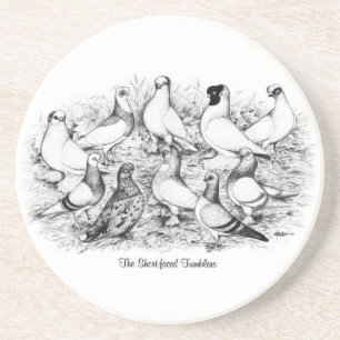 The Short-faced Tumbler Pigeons Coaster