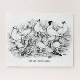 The Short-faced Tumbler Pigeons Jigsaw Puzzle