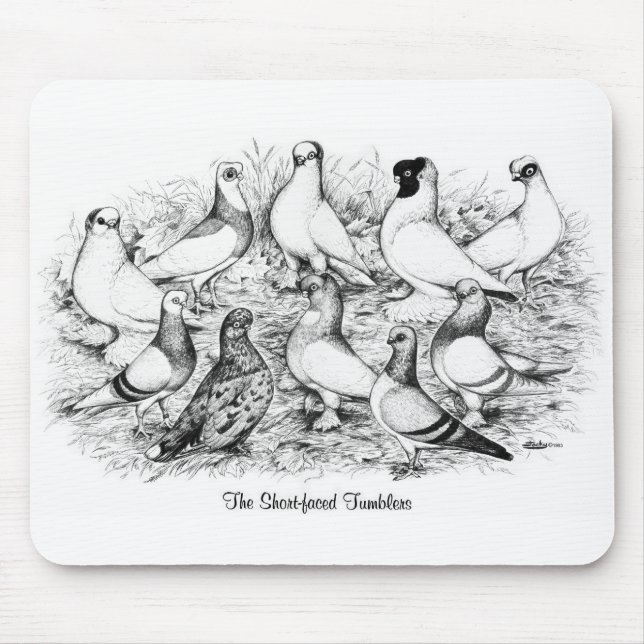 The Short-faced Tumbler Pigeons Mouse Pad (Front)