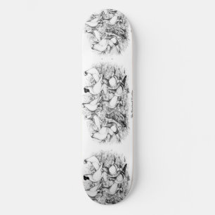 The Short-faced Tumbler Pigeons Skateboard