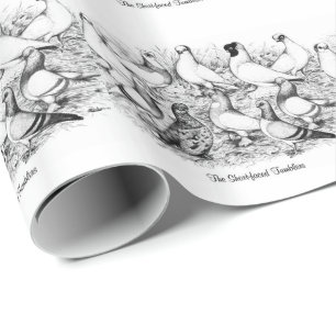 The Short-faced Tumbler Pigeons Wrapping Paper