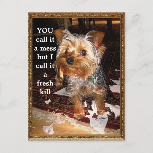 The Shredder Customisable Postcard (Front)