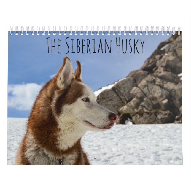 The Siberian Husky Calendar (Cover)