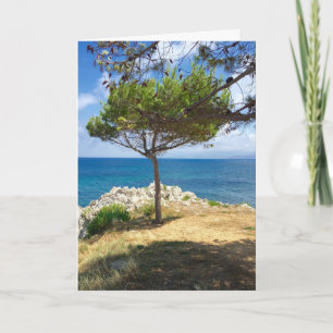 The Sicilian Tree Holiday Card