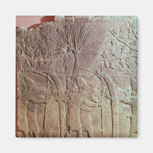 The Siege of Alammu by the army of Sennacherib Magnet