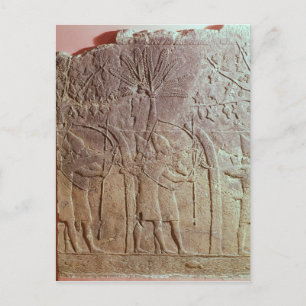 The Siege of Alammu by the army of Sennacherib Postcard