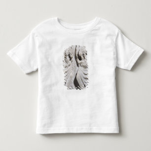 The signs of Leo and Aries Toddler T-Shirt