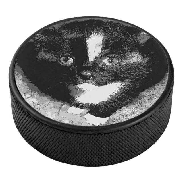 The Silent Observer  Hockey Puck (3/4)