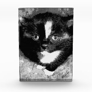 The Silent Observer Photo Block