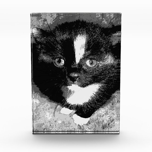 The Silent Observer Photo Block (Front)