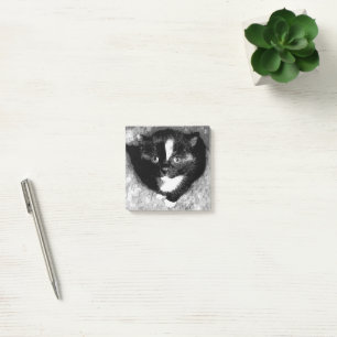 The Silent Observer Post-it Notes