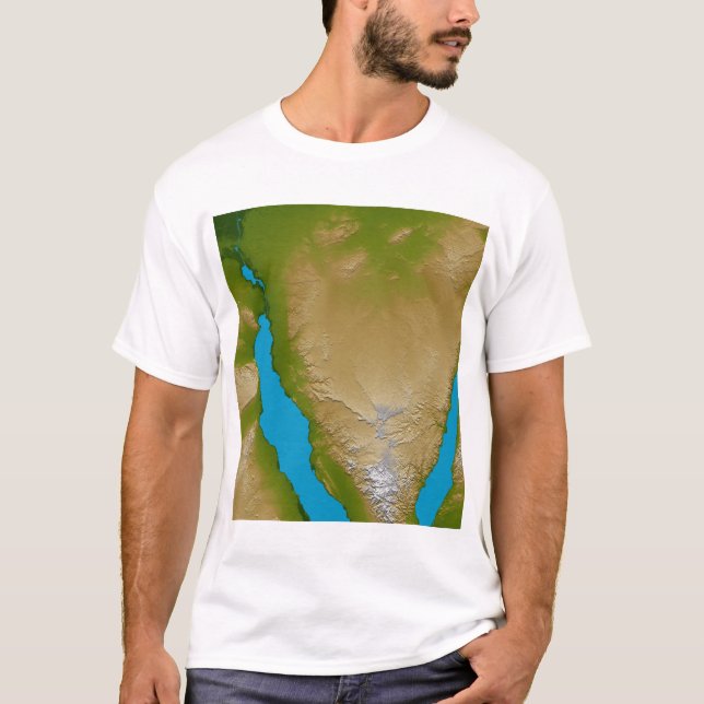 The Sinai Peninsula T-Shirt (Front)