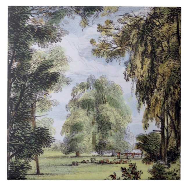 The Sister Trees, Kew Gardens, plate 8 from 'Kew G Tile (Front)