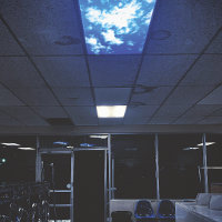 the sky is falling