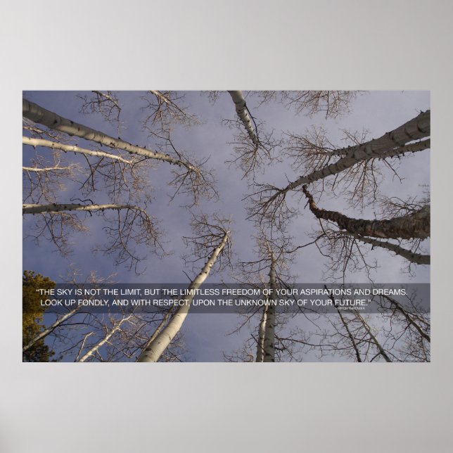 The sky is not the limit... poster (Front)