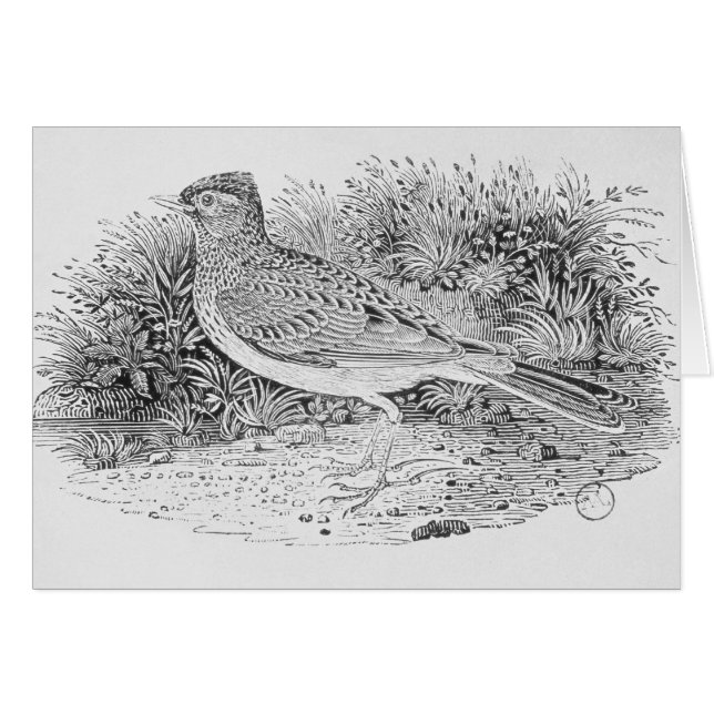 The Skylark (Front Horizontal)