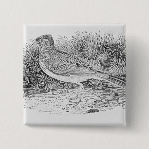 The Skylark 15 Cm Square Badge