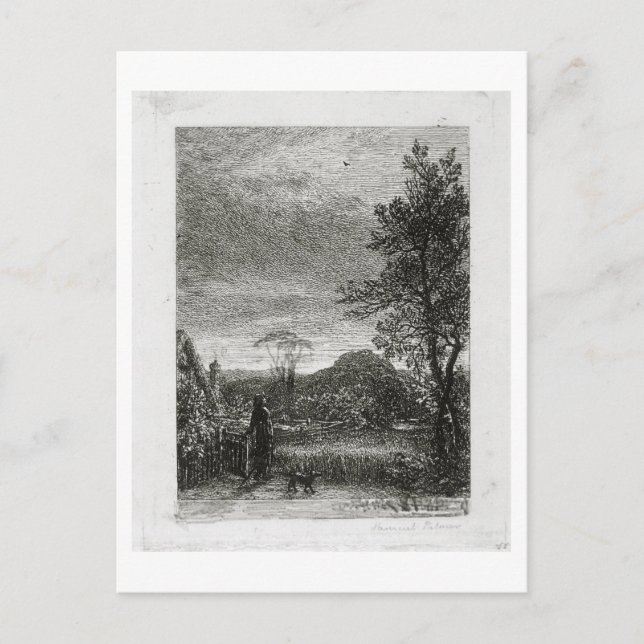 The Skylark (etching) Postcard (Front)