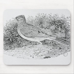 The Skylark Mouse Pad