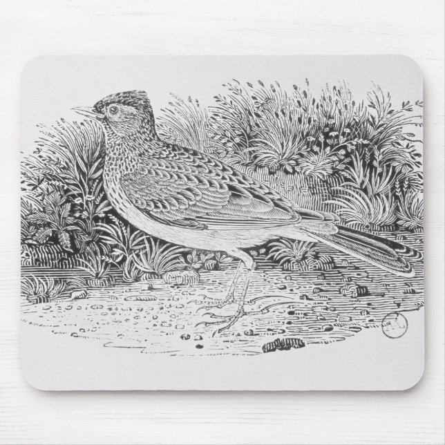 The Skylark Mouse Pad (Front)