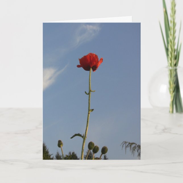 The Sky's The Limit Greeting Card (Front)