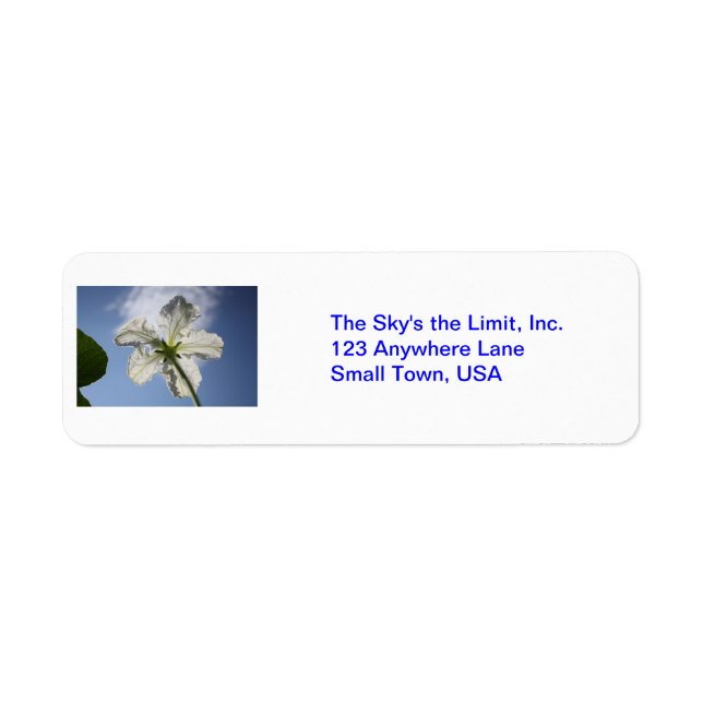 The Sky's the Limit! Return Address Label (Front)