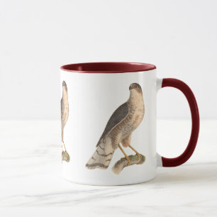The Slate-coloured Hawk	(Astur fuscus) Mug