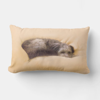 The Sleep of the Dog Lumbar Cushion