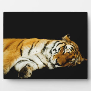 The Sleeping Amur  Plaque
