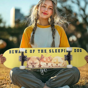The Sleeping Shiba Street Custom Skateboard